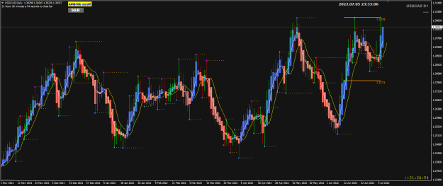 Click to Enlarge

Name: USDCAD Jul06 Daily test 13078 6-7-2022 7-33-08 am.png
Size: 28 KB