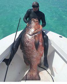 Click to Enlarge

Name: Yes, it is a big fish I just caught from the sea, #seafishing #bigfish _ Boat Fishing _ Pinterest.jp
Size: 14 KB