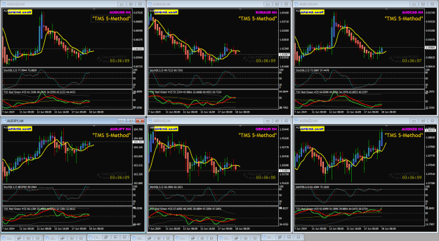 Click to Enlarge

Name: AUD pairs Jun18 4Hr 10PM candle 18-6-2024 1-23-56 pm.png
Size: 56 KB
