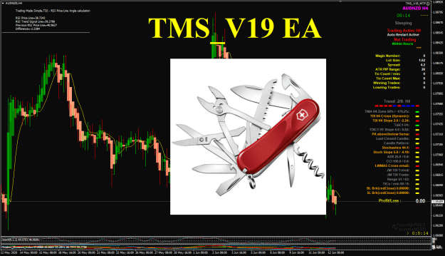 Click to Enlarge

Name: TMS_V19 EA screenshot.png
Size: 98 KB