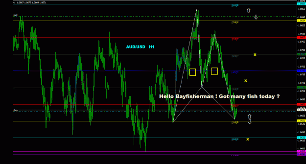 Click to Enlarge

Name: audusd_1h_011.gif
Size: 30 KB